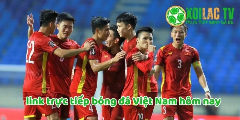 Link trực tiếp bóng đá Việt Nam hôm nay